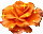 blume