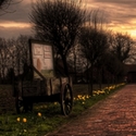 Farm