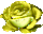 glitzer