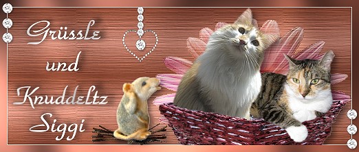 http://s3.directupload.net/images/user/100611/vpchzhmy.jpg