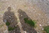 Schatten unserer Selbst