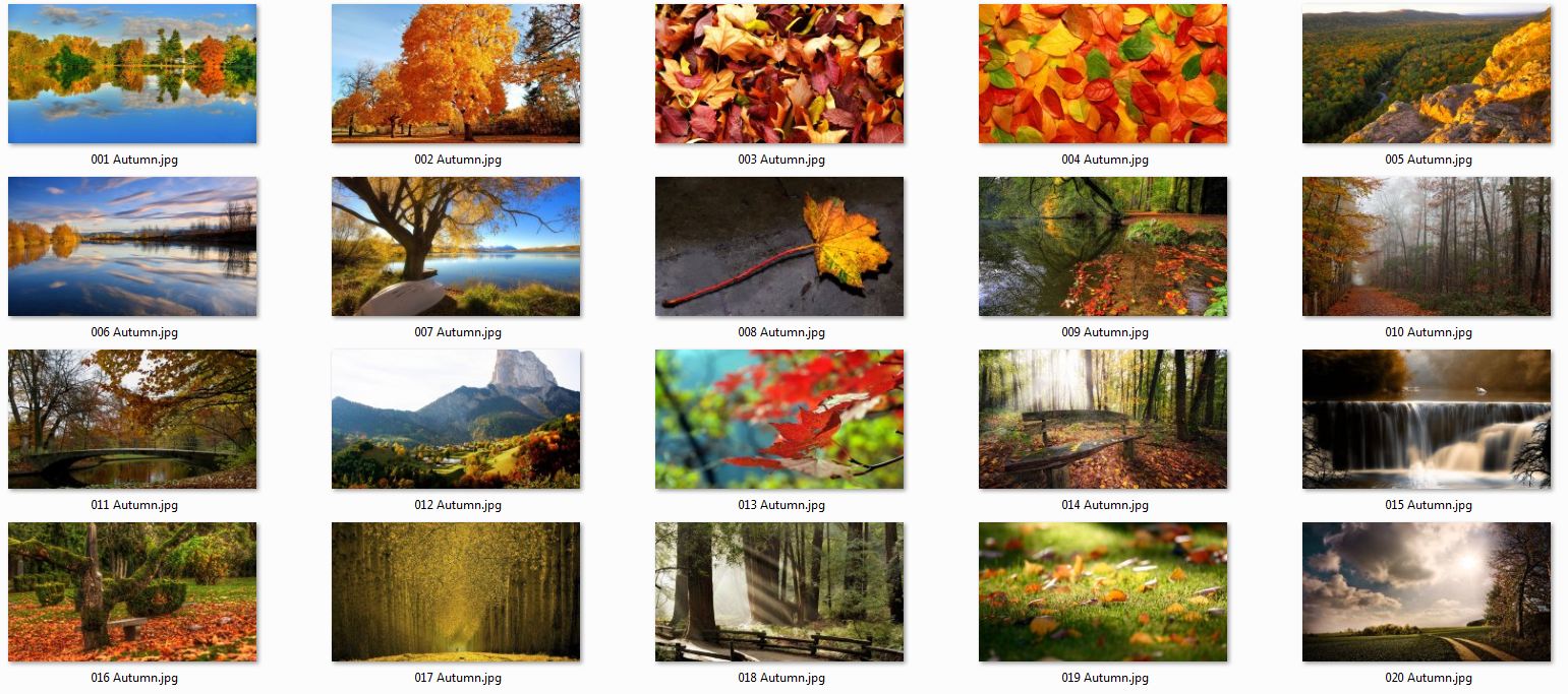 Herbst Full HD Wallpapers 