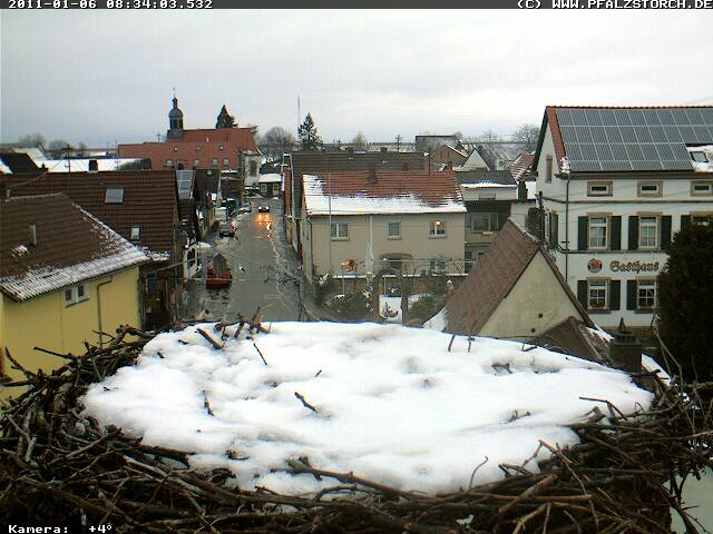 Bild