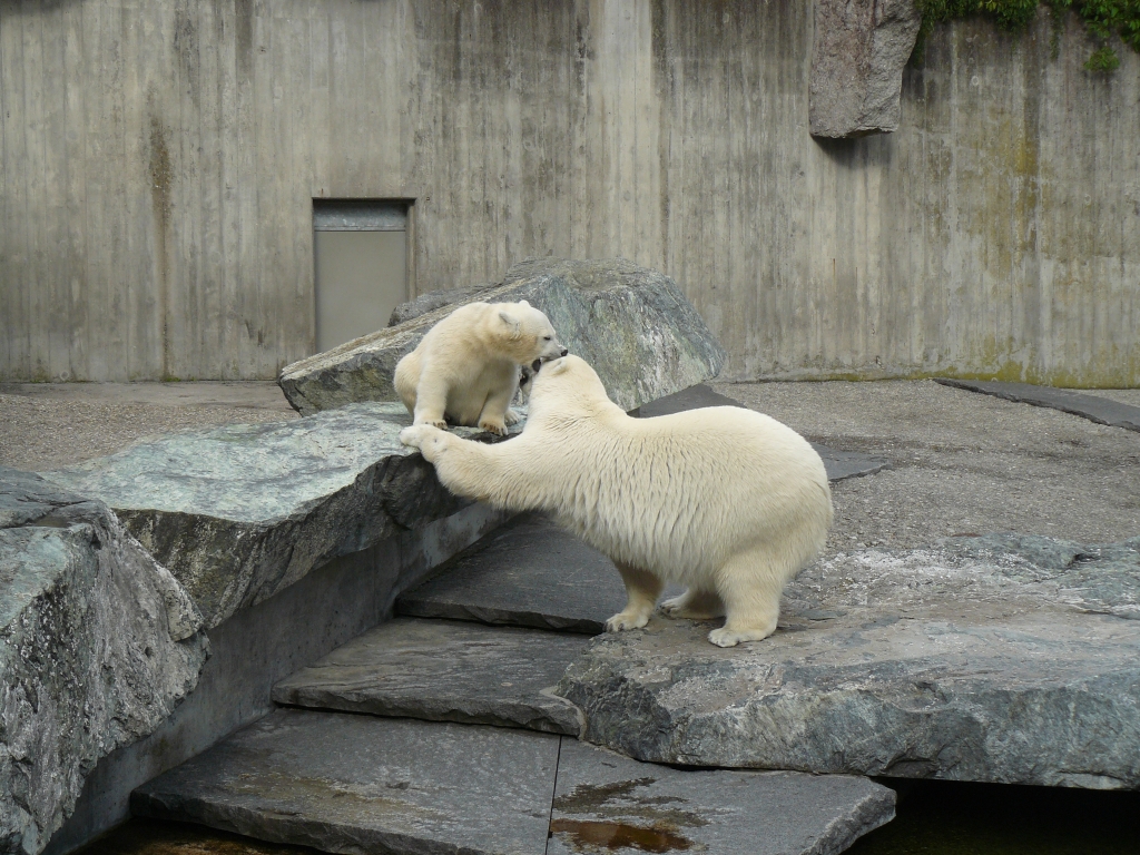 Wilbär und Corinna